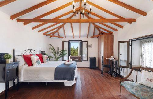 Casa Rosalía - Photo 21