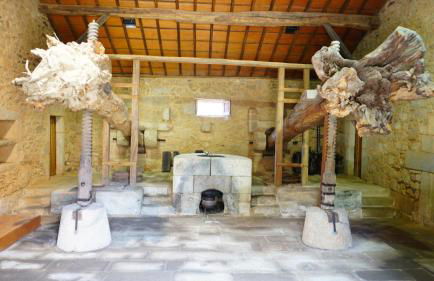 9, Cimo da Aldeia - Foto 26