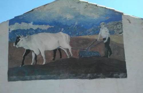 Agriturismo Camisadu - Foto 14