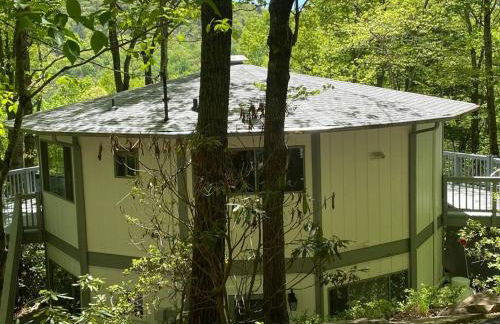 Montreat Round House - mountain views, renovated - Foto 8