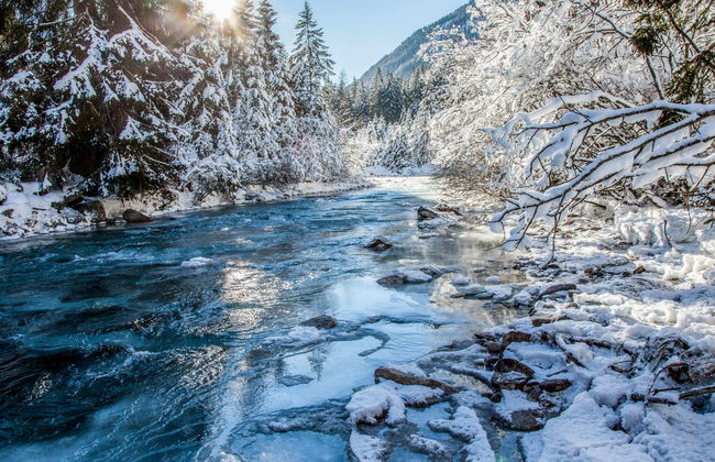 Walzthöni - Foto 52