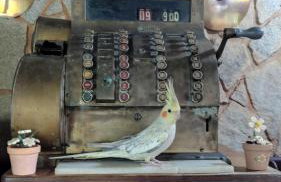 Fazenda Vista Soberba - Foto 3