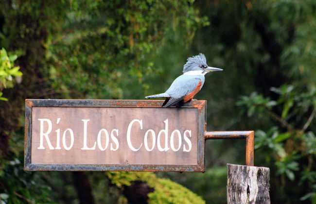 Tepuhueico Park Ticket - Foto 4