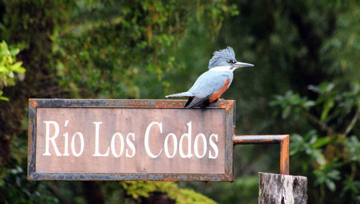 Tepuhueico Park Ticket - Foto 1