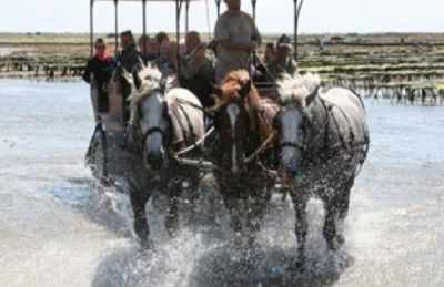 Gite les trois Petiots - Photo 20