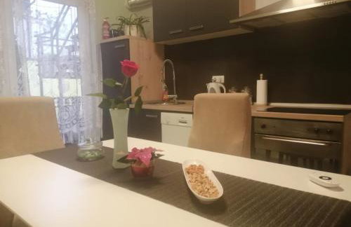 Apartman Goldy - Photo 12