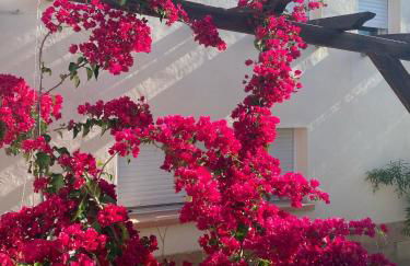 CasaRuibella - Foto 43