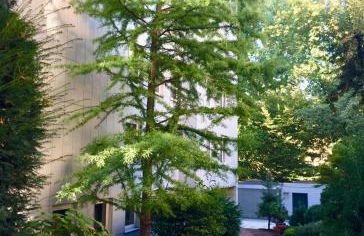 Apartment Centrum im Grünen - Foto 1