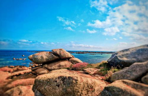 Les Terrasses de Kerfissien vue mer 2-6 pers Holim' Prest - Foto 19