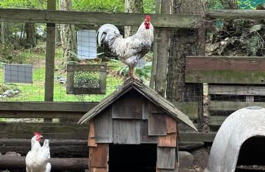 TideAway Farm on Private Island! Escape & Indulge Mother Nature! - Foto 33