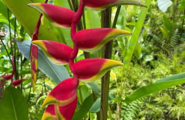 Beach Villas Kahaluu on Kona Coast - Foto 59