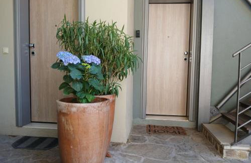 Quiet Urban Studio with Private Backyard - Foto 4