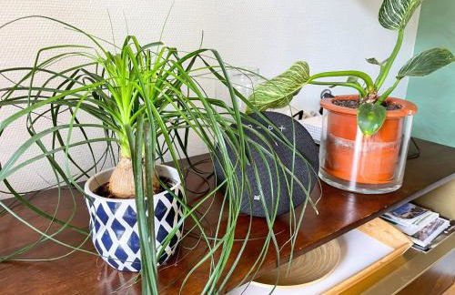 Votre Escale Boule d Or Sauna & Spa - Foto 24