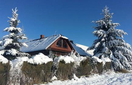 Dom Grabowa z sauną , podgrzewanym basenem i balią z hydromasażem - Foto 40