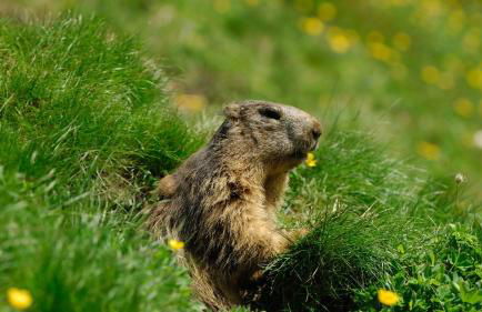 Residence Nube D'Argento - Foto 23