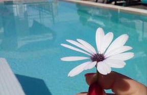 Sea Pearl Luxury Apartments - Foto 33