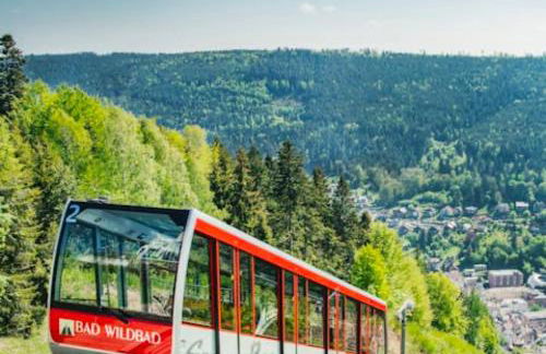 Kurpark Apartment, Schwimmbad, Sauna, Terrasse - Foto 38