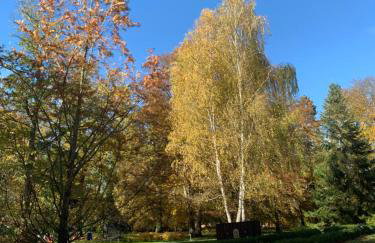 Pałac Sapetów - Foto 22