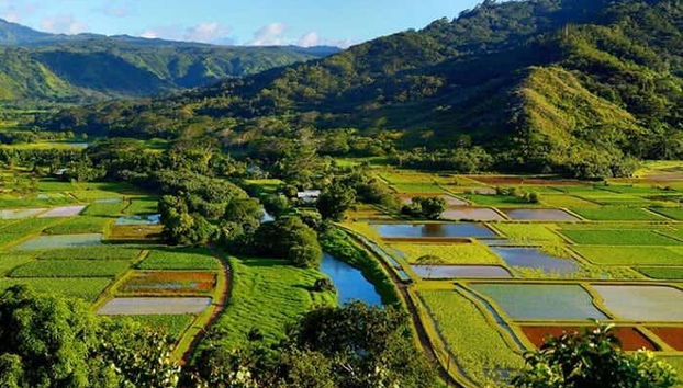 Kauai Movie Tour - Foto 2