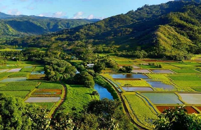 Kauai Movie Tour - Foto 2