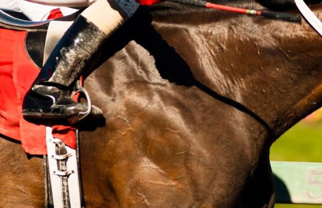 The Lombard House - City Centre - Foto 19