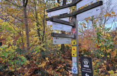 Haus Nina near Willingen and Winterberg - Foto 8