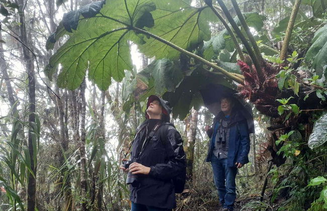 Excursión a la Reserva Yanacocha - Foto 2