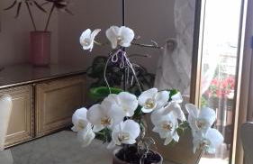 Acqua di Mare - Foto 36