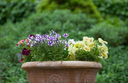 Agriturismo Il Cavicchio - Foto 98