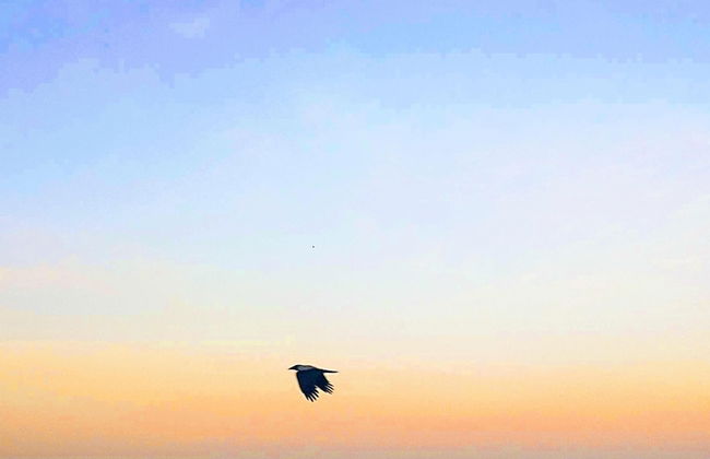 Rhodes Skyline Suite With out Door Jacuzzi Sea View - Foto 11