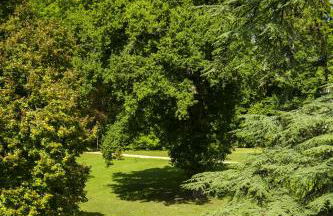 Château du Loroux - Photo 66