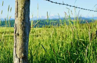 Ferienwohnung Auszeit im Pfaffenwinkel - Wessobrunn - Foto 18