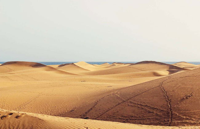 Excursión a Maspalomas, Mogán y el barranco de Guayadeque - Foto 2