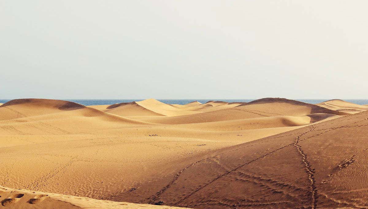 Reserva Natural de Las Dunas de Maspalomas