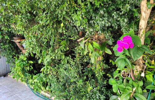 Casa 2000 Positivo UTFPR INC Volvo - Foto 20