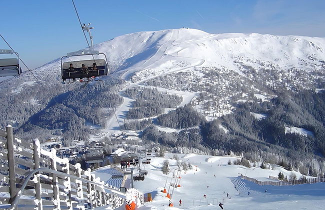 Apartment in Lungau Near Ski Lift - Foto 26