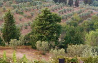 Villa il Pozzo - Foto 76