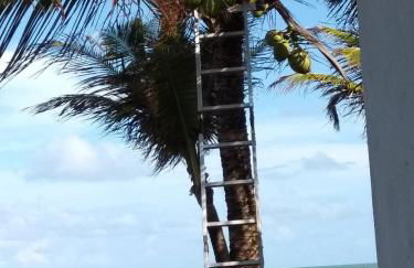 A 2 passos do paraíso - Photo 34