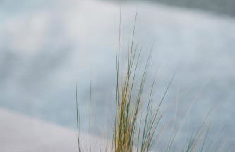 Villa Sunset Albatross - Foto 40