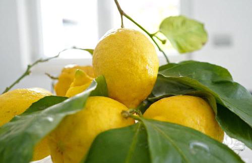 Seaside Dream View - Foto 38