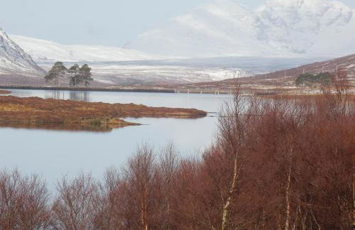 3 St Gilbert Street - Photo 52