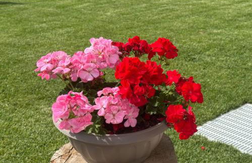 Al Piz - Dimora Alpina - Foto 15