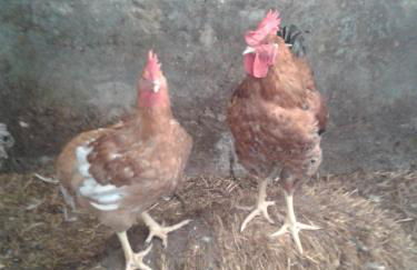 Azienda Agrituristica B&B La Torre - Photo 33