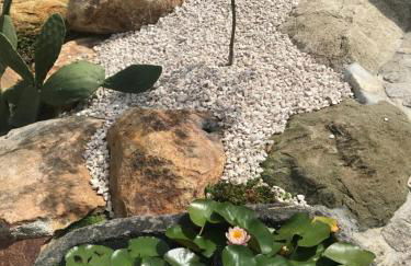 Quinta da Vinha do Souto - Foto 18