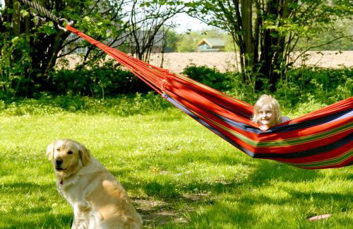 Ferienhof Gintoft - Foto 21