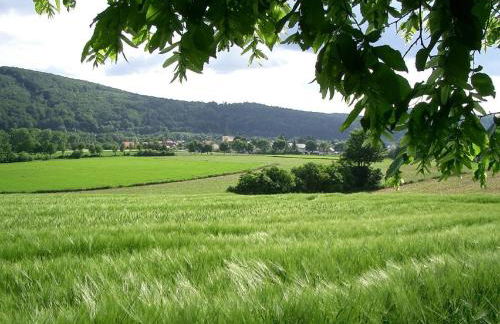 Ferienwohnung Faber mit großem Südbalkon - Foto 13
