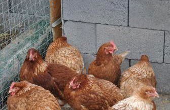 Agriturismo Borgo San Nicolao - Foto 62