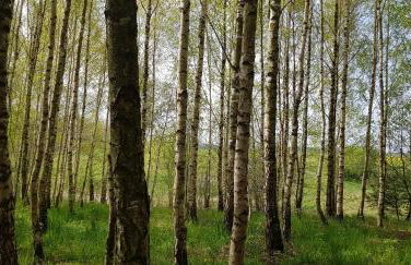 Dom na Warmii -Siedlisko Jabłonka - Foto 11