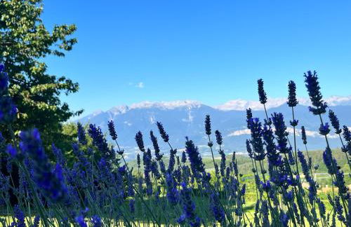 Ciasa Erica - Val di Non - Foto 24