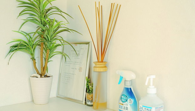 besuinonnasonokinawa - Foto 2, Recepción